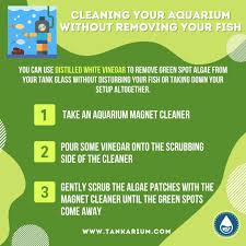 Check spelling or type a new query. Pin On Aquarium Maintenance Tips