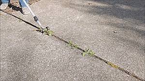 Press release issued oct 9, 2017: Weed Snatcher Rolling Tool Easily Removes Weeds From Cracks
