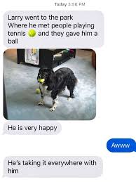 28 Genius Memes No One Should Miss Animal Pictures Animals Like Animals