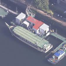 Yahoo!ニュース - News update