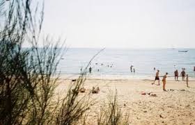 Photography Beach Ocean 19 Ideas 35mm Photography Olympus Trip Photography Inspo
