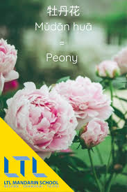Pin On Plants Animals In Chinese