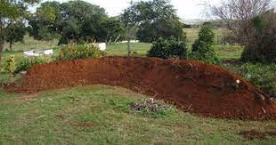 pin by lloyd perry on your survival begins here outdoor landscaping burm landscaping permaculture design