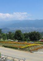 Maybe you would like to learn more about one of these? Kebun Buah Fuefukigawa Info Liburan Dan Wisata Di Jepang