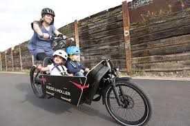 Riese Muller Packster Cargo E Bike 2017 E Bike Packen Riese Und Muller