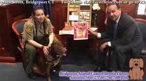 Maybe you would like to learn more about one of these? A Dog S Life Benefit Dinner Seeks To Help Bridgeport S Shelter Pups Bridgeport Daily Voice