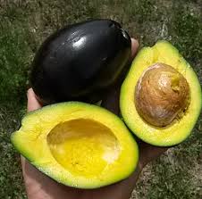 Image result for Dark Avocado 1983 Fedders