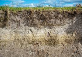 If it doesn't hold together, the soil is sandy. Loamy Soil 101 How To Make And Garden With It Bob Vila