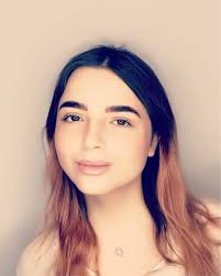 Hjælp til tagmaling i Odense