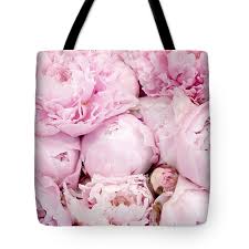 Check spelling or type a new query. Pastel Pink Peony Flowers Pink Peony Decor Peonies Shabby Chic Pink Peony Flowers Tote Bag For Sale By Kathy Fornal