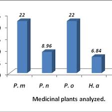 Image result for Phyllanthus odontadenius
