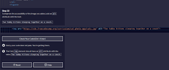 Image result for tbn:C3lu_vUNPC2tpM::gallery.7lm.com/data/media/100/bigbigcat.jpg