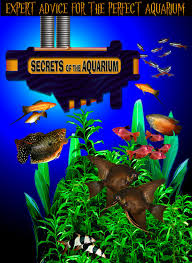 Another Fine Video On Tropical Fish Aquariums Ans The Tropical Fish Hobby As A Whole Tropical Fish Aquarium Aquarium Fish Tropical Fish