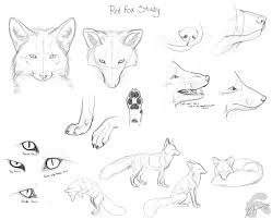 Red Fox Doodles By Krissyfawx On Deviantart Fox Drawing Sketches Fox Drawing Tutorial Fox Drawing