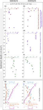 Bg Cryptic Roles Of Tetrathionate In The Sulfur Cycle Of Marine Sediments Microbial Drivers And Indicators