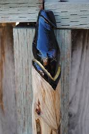 Shop our walking sticks selection from top sellers and makers around the world. Pin On Walking Sticks