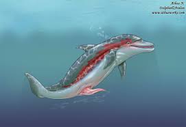 Вагина кита HD phone wallpaper