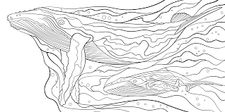 Join our community of educators and receive the latest information on national geographic's resources for you and your students. Justin Poulter Illustrator And Graphic Designer National Geographic