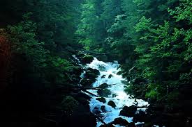 Our extensive collection of nature pictures allows for diverse use. Waterfalls Nature Gifs Nature Gif Nature