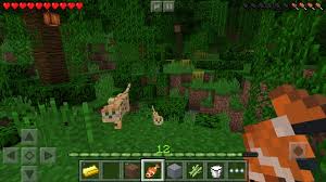An improved archive of minecraft: Minecraft Pocket Edition 0 12 1 Update Lands On Ios Android Version Coming Soon