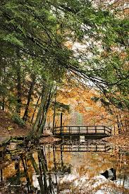 Turn north onto route 369 and drive 4 miles to chenango valley state park. Chenango Valley State Park By Christina Rollo Park Art Scenic Landscape State Parks