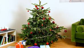 Discover simple ways to turn your everyday items like pa. Diy Your Christmas Decorations With Pasta Christmas Pasta Decorations