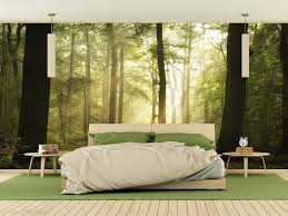 Forest wall murals at muraledesign.com shop 100's of forest wall murals and wallpaper murals of forest scenes. Play Of Lights Wall Mural About Murals
