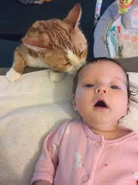 Special Needs Teen Helps with Elf Antics