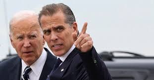 Image result for Bidens buchneri