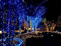 White Lights Along The House Trim And Blue Lights On The Trees Blue Christmas Lights White Christmas Lights Christmas Lights Background
