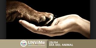 124 viviendas de ciudad modelo no han sido vendidas; Por Que El 29 De Abril Se Celebra El Dia Del Animal Unvime Universidad Nacional De Villa Mercedes San Luis Argentina