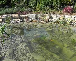 The property has garden views. Gartenteich Anlegen Schritt Fur Schritt Zum Wasserparadies Mein Schoner Garten