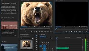 Visual c++ redistributable package до версии от 24.01.2019. Adobe Premiere Elements 2019 V17 0 Crack Full Version Download