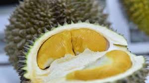 Tips hilangkan bau durian ditangantips hilangkan bau durian dalam keretatips kurangkan panas badan selepas memakan durian. Jangan Pernah Makan Durian Bersamaan Dengan 7 Makanan Minuman Ini Bisa Sebabkan Kematian Halaman All Tribun Pontianak