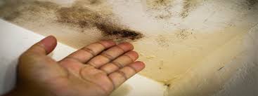 Alibaba.com offers 22,206 moisture proof ceiling products. Common Causes Of Ceiling Stains