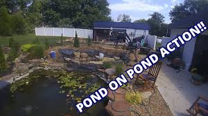 Some of these ideas are for new ponds, but others are ideas for adding something special to your current garden pond. Adding A Pond To An Existing Pond Youtube