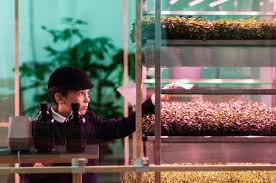 The furniture retailer is introducing a line of products, part of the krydda/växer collection, that'll help you start your own indoor hydroponic garden. Ikea S Space10 Debuts A Vertical Farm