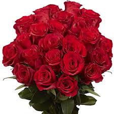We at euroflorist are proud to be active in a field where we are able to deliver not only your flowers almost 10,000 florist experts in germany deliver your bouquet with your very personal message every day. Amazon Com Red Roses 50 Fresh Flowers Next Day Delivery Thursday August 12 Grocery Gourmet Food