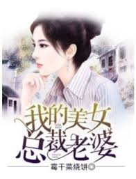 Space And Rebirth The Favored Genius Doctor And Businesswoman Novel My Wife Is A Beautiful Ceo A Chinese Web Novel Recommended By Novelsdream Com My Wife Is Light Novel Online Light Novel