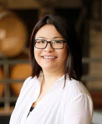 Women in politics: Hazel Chu could be the first ever Irish Born Chinese  politician to be elected in the Irish State