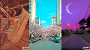 Knowme__(@knowme__), aesthetic wallpaper(@aestheticwallpaper82), babesyouarethatgirl(@babesyouarethatgirl), wallpaperssss ☻︎(@w.allpaper.s_), fyp🖤(@aesthetic.wallpaper92). Aesthetic Live Wallpaper Tiktok Compilation Youtube