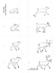 Draw your scenes as close to the unbound edge as possible so the action is easy to see when the pages are flipped. Life Cycle Flip Books New And Improved