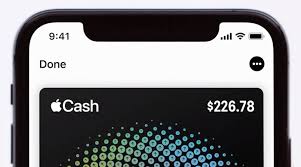 Co‑owners 2 manage the account together and build credit as equals. Here S How Apple Card Daily Cash Works Appleinsider