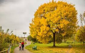 16 august 2018 10 septembrie 2018, scoala. Prognoza Meteo Se AnunÅ£Äƒ O ToamnÄƒ CÄƒlduroasÄƒ Cand Se SchimbÄƒ Vremea Radical Unde Lovesc Ploi Puternice