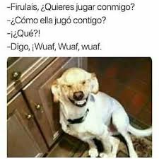Dopl3r Com Memes Firulais Quieres Jugar Conmigo Como Ella Jugo Contigo Que Digo Iwuaf Wuaf Wuaf