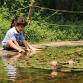 Life in a Pond