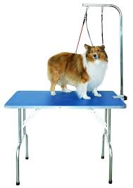 Professional Pet Grooming Table With Double Leashes Pet Grooming Medium Dogs Friday Dog