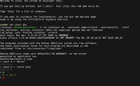 In command prompt, run the following command: How To Access The Command Line In Chrome Os