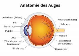 Erste Hilfe Bei Augenverletzungen Durch Einen Fingernagel