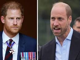 Prince William's 'royal streaming war' boost over Prince Harry after Diana  'inspiration'